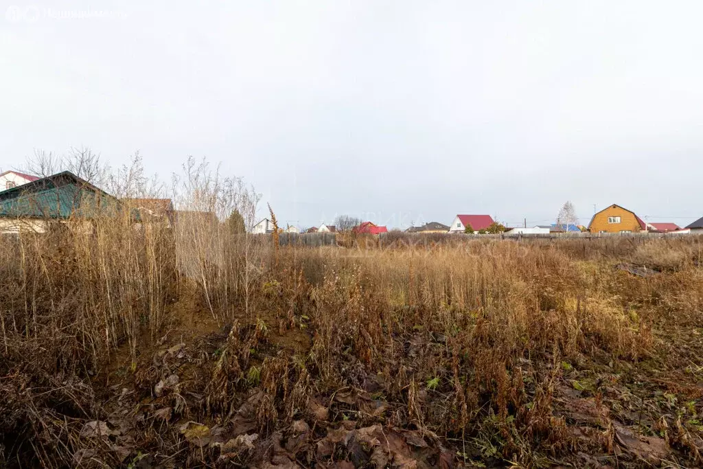 Участок в Тюменский район, село Онохино (7.5 м) - Фото 1