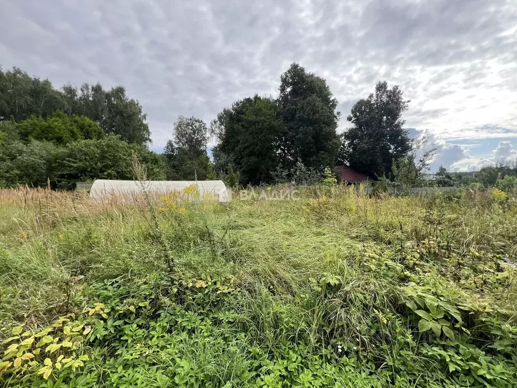 Дом в Нижегородская область, Богородский муниципальный округ, д. ... - Фото 1