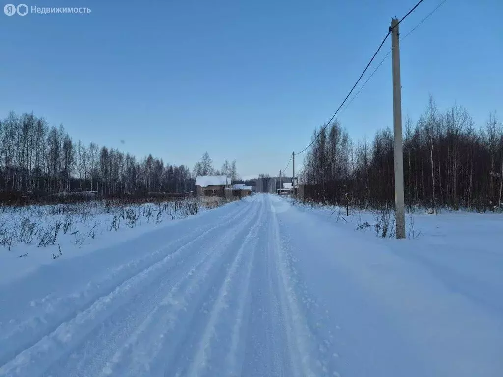 Участок в Ярославский муниципальный округ, дачное некоммерческое ... - Фото 2