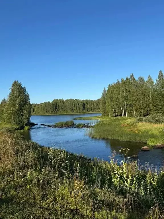 Дом в Карелия, Олонец  (24 м) - Фото 2