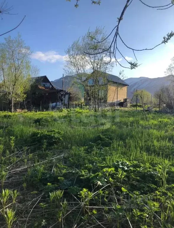 Участок в Камчатский край, Елизовский муниципальный округ, пос. ... - Фото 1