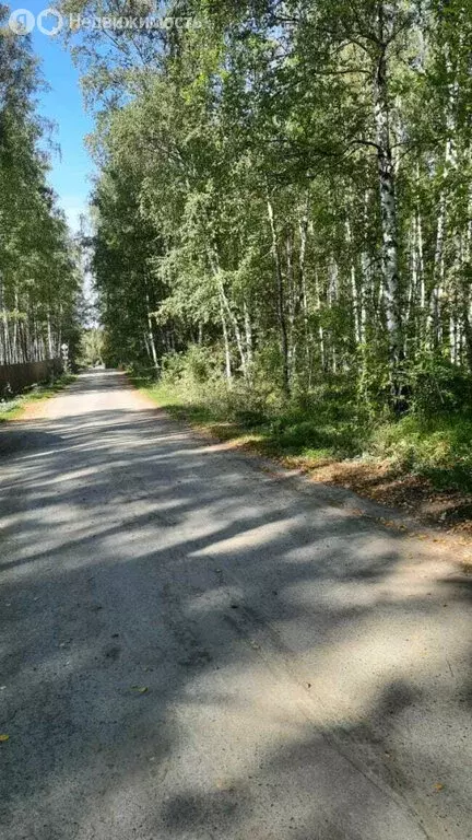 Участок в Свердловская область, Верхняя Пышма (8 м) - Фото 2