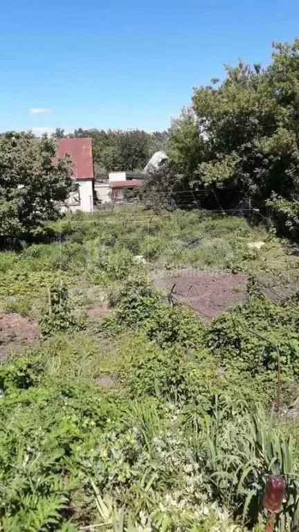 Дом в Воронежская область, Воронеж Кировец СНТ,  (48 м) - Фото 1