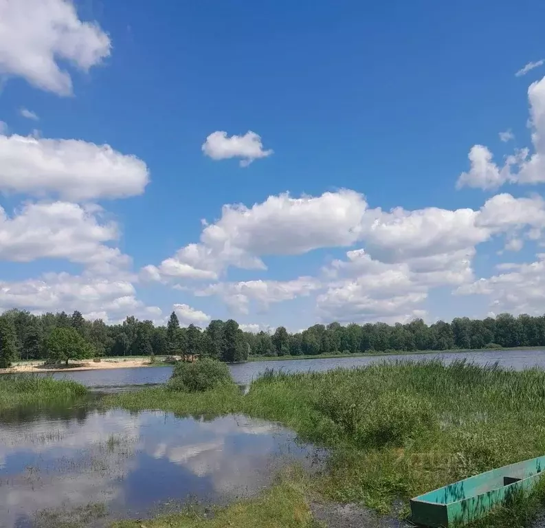 Участок в Нижегородская область, Арзамас городской округ, с. Наумовка  ... - Фото 1