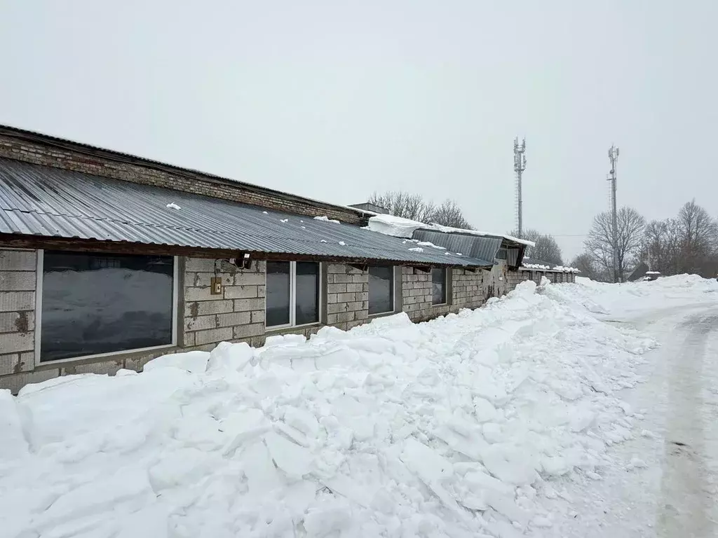 Производственное помещение в Смоленская область, Рославль ул. ... - Фото 2