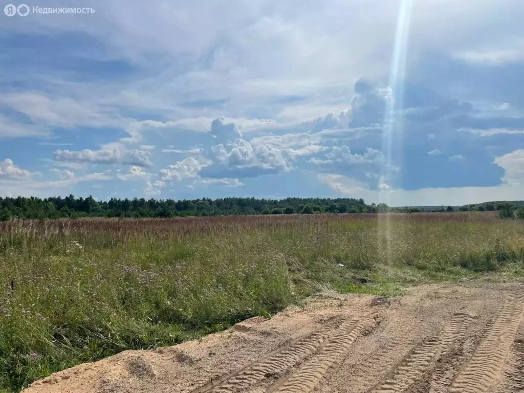 Участок в Тверская область, Калининский муниципальный округ, деревня ... - Фото 2