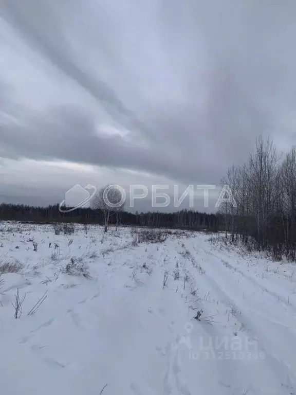 Участок в Тюменская область, Тюмень Светлое садовое товарищество, ул. ... - Фото 1