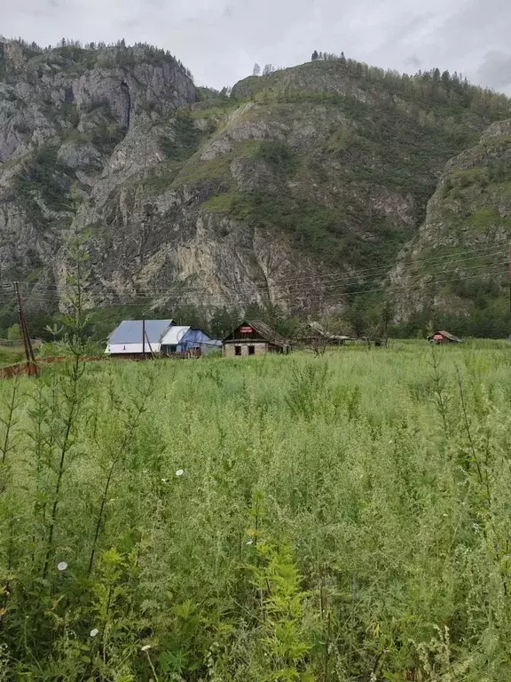 Участок в Алтай, Чемальский район, с. Еланда Новая ул. (20.0 сот.) - Фото 0
