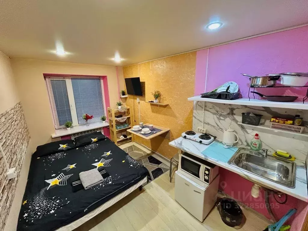 Студия Московская область, Воскресенск Центральный мкр, ул. ... - Фото 1