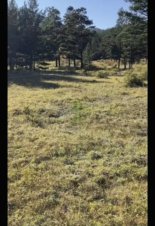 Участок в Бурятия, Иволгинский район, Сотниковское с/пос, с. ... - Фото 2