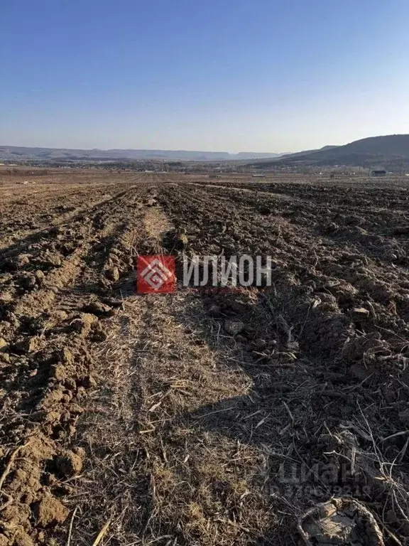 Участок в Крым, Бахчисарайский район, с. Долинное  (150.0 га.) - Фото 2