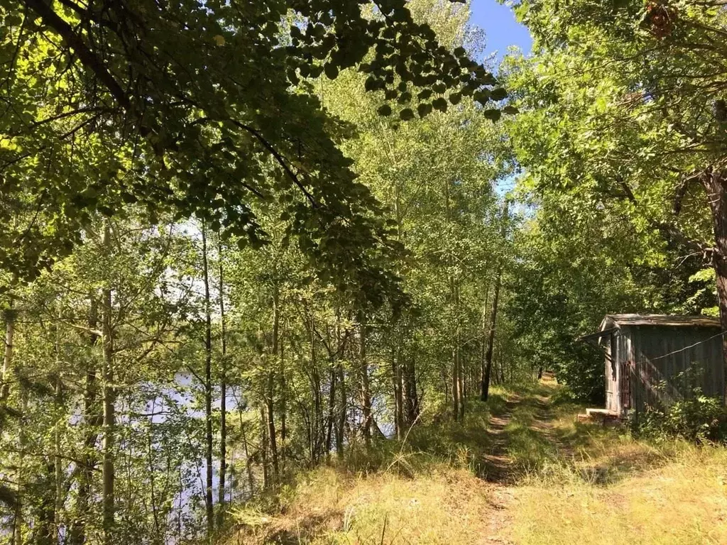Участок в Марий Эл, Медведевский район, Сенькинское с/пос, пос. ... - Фото 1