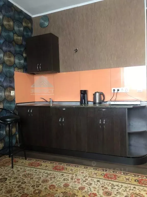 Студия Хакасия, Абакан ул. Пушкина, 3 (33.0 м) - Фото 0