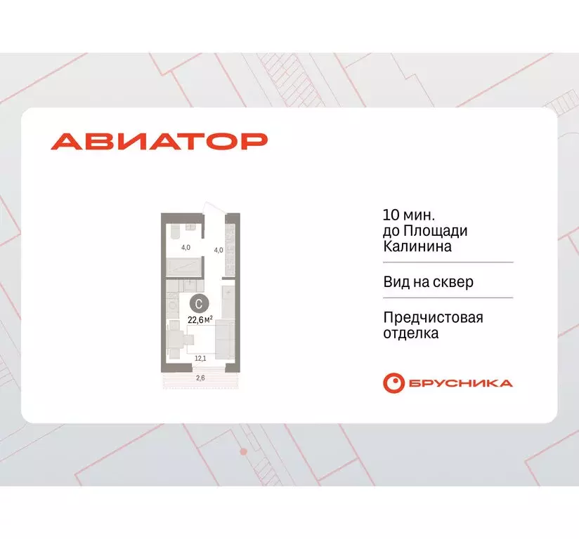 Квартира-студия: Новосибирск, улица Аэропорт (22.62 м) - Фото 0
