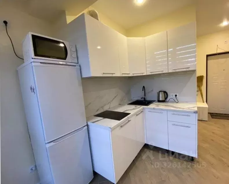 1-к кв. Краснодарский край, Сочи городской округ, с. ... - Фото 1