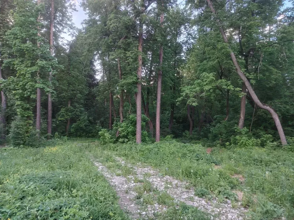 Участок в Московская область, Щелково городской округ, д. Соколово, ... - Фото 2