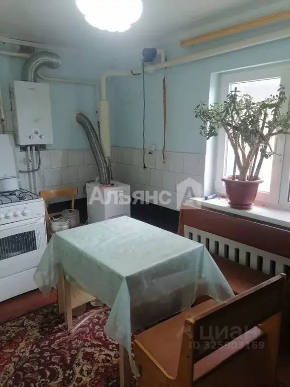 Дом в Ростовская область, Белая Калитва ул. Суворова (56 м) - Фото 1