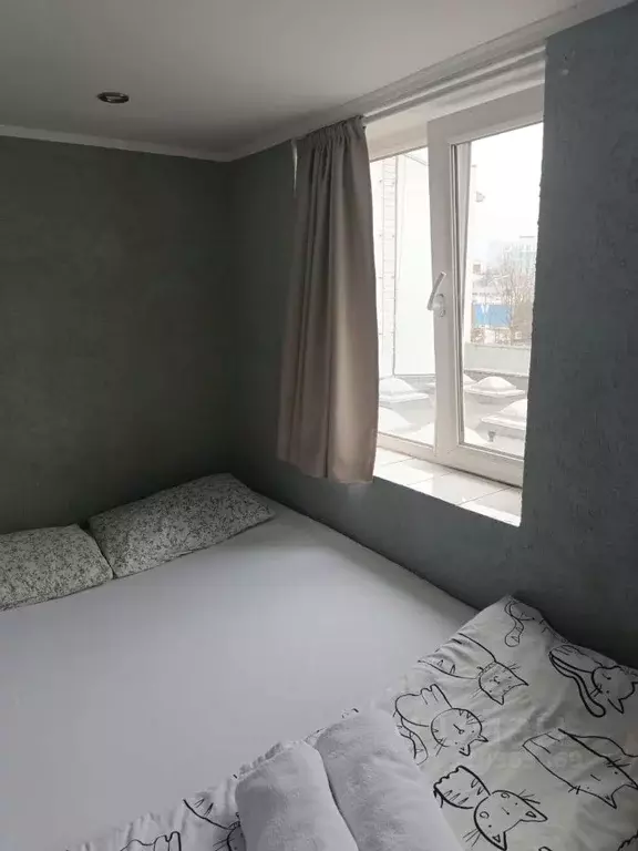 Комната Москва ул. Каретный Ряд, 6 (6.0 м) - Фото 2