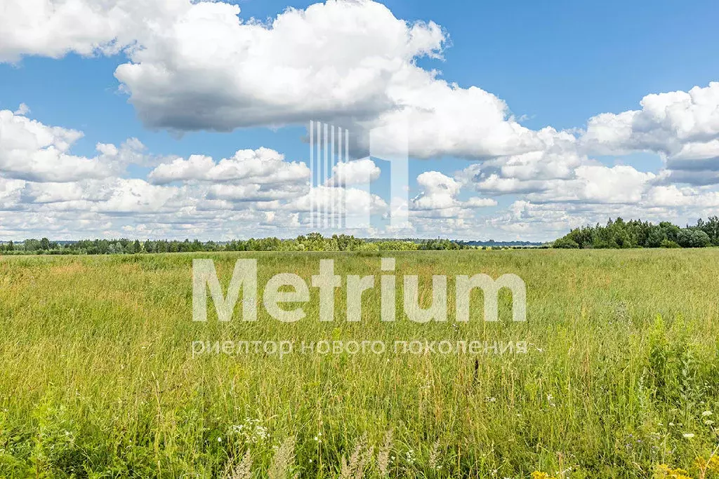 Продается участок в д. Борисково - Фото 2