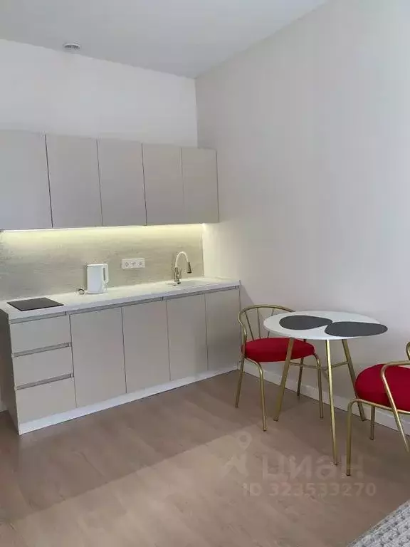 Студия Воронежская область, Воронеж ул. Дзержинского, 4 (20.0 м) - Фото 1