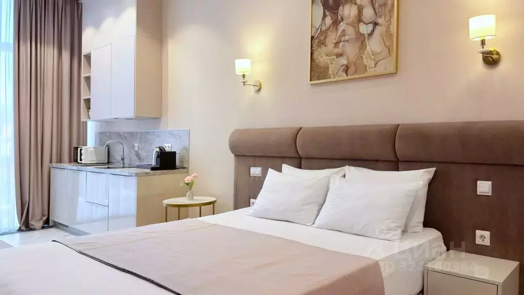 1-к кв. Краснодарский край, Сочи Центральный мкр, ул. Навагинская, 11А ... - Фото 1