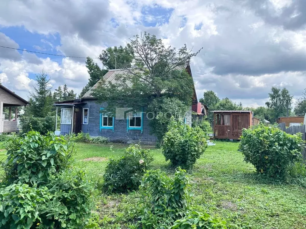 Дом в Новосибирская область, Колыванский район, Электрон СНТ ул. ... - Фото 1