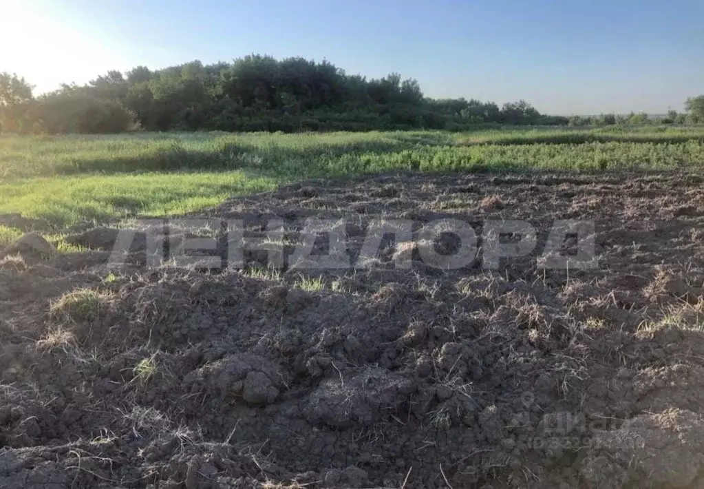 Участок в Ростовская область, Аксайский район, Грушевская ст-ца ... - Фото 2