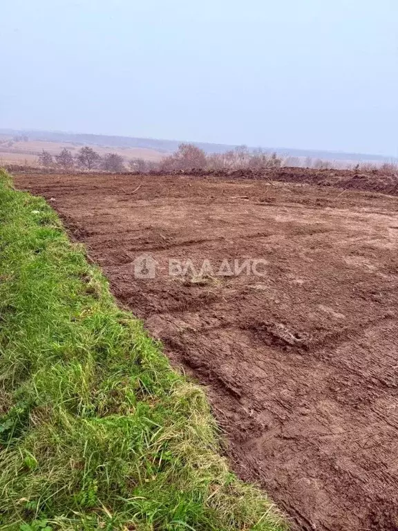 Участок в Калининградская область, Гурьевский муниципальный округ, ... - Фото 1