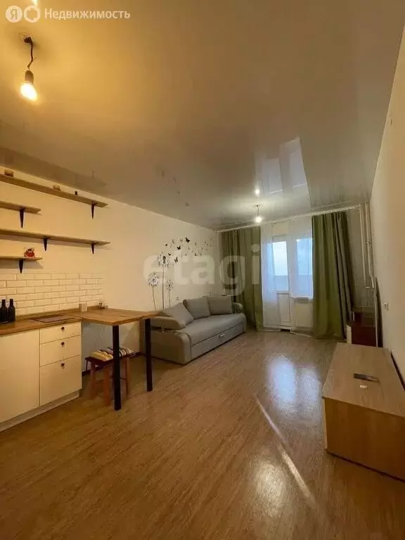 Квартира-студия: Ростов-на-Дону, переулок Белоусова, 4/1 (28 м) - Фото 2