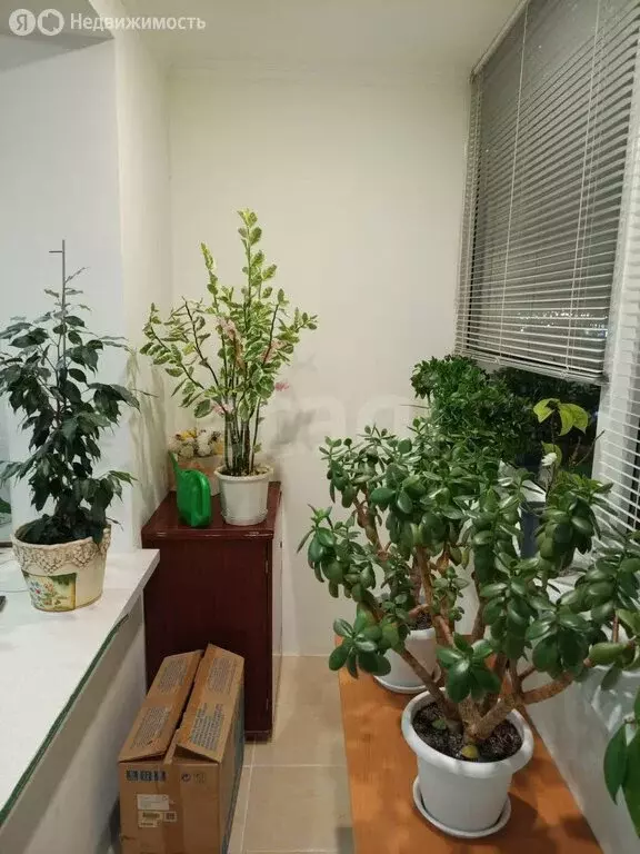 2-комнатная квартира: Альметьевск, улица Ленина, 120 (56 м) - Фото 2