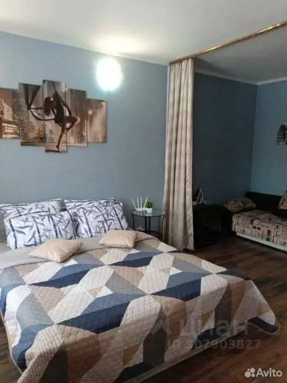 1-к кв. Московская область, Ногинск Богородский городской округ, ул. ... - Фото 1