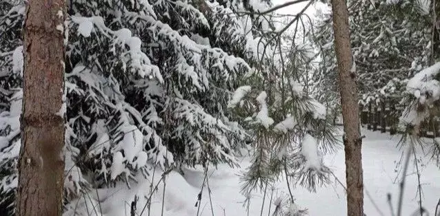 Участок в Московская область, Дмитровский муниципальный округ, с. ... - Фото 1