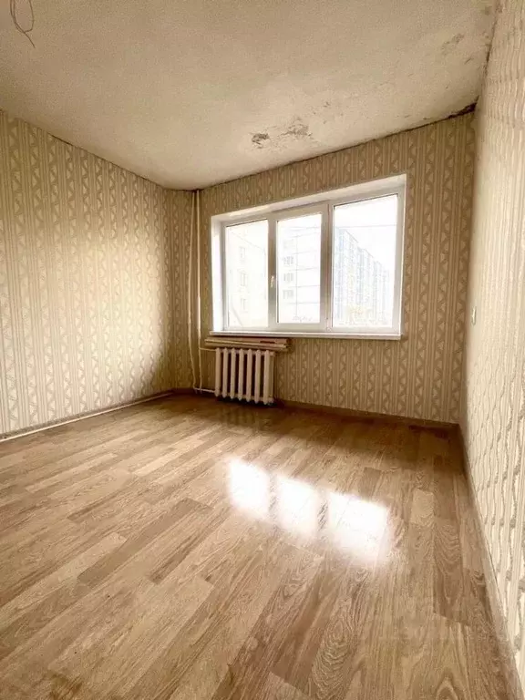 1-к кв. Ленинградская область, Волосовский район, Большеврудское ... - Фото 2