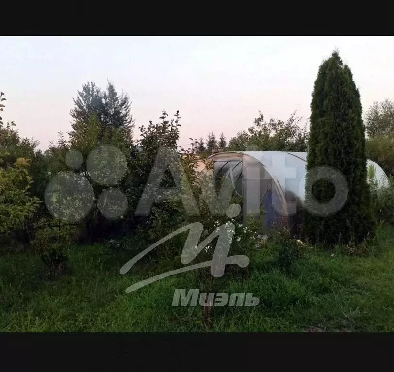 Участок 16 сот. (СНТ, ДНП) - Фото 0