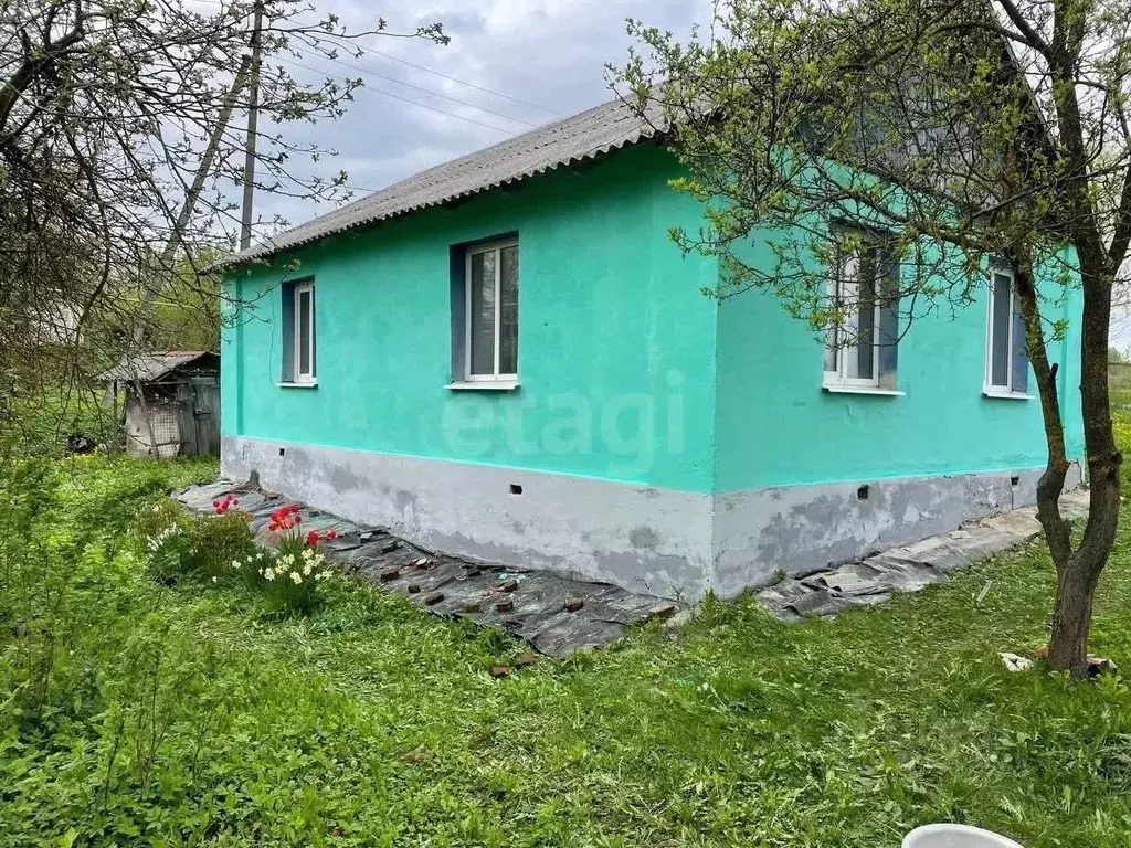 Дом в Тульская область, Чернь рп ул. Свободная, 36 (57 м) - Фото 2