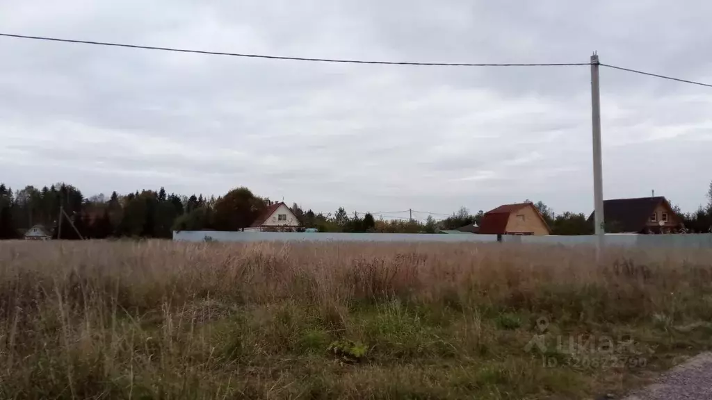 Участок в Ленинградская область, Тосненский район, Любанское городское ... - Фото 1
