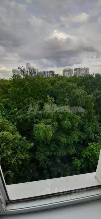 1-к кв. Москва ул. Академика Павлова, 46 (33.8 м) - Фото 1