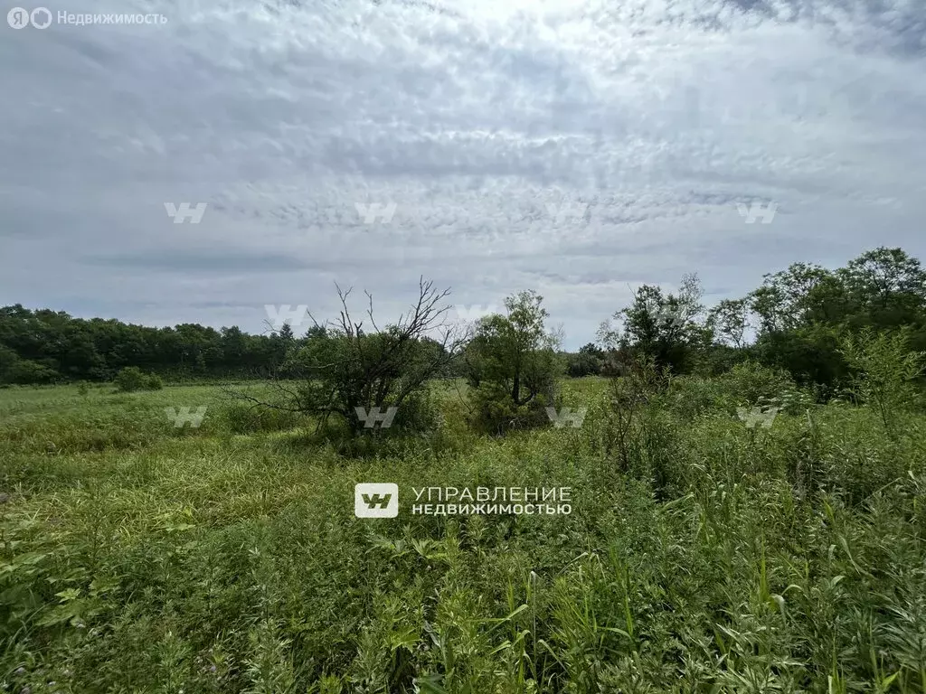 Участок в село Дачное (35.309998 м) - Фото 1