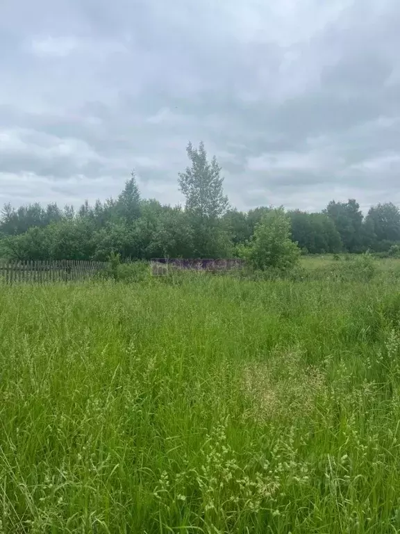 Участок в Тюменская область, Ялуторовск ул. Антонова, 4 (10.0 сот.) - Фото 0