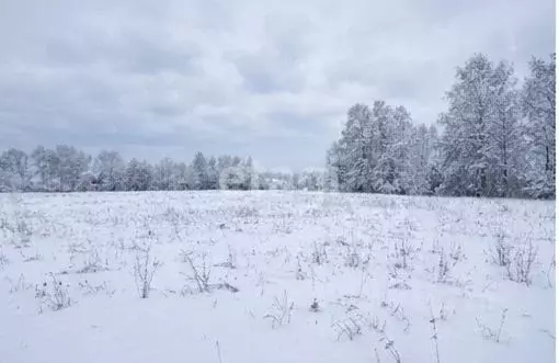 Участок в Ульяновская область, Ульяновск пер. Шурова, 11 (7.7 сот.) - Фото 1