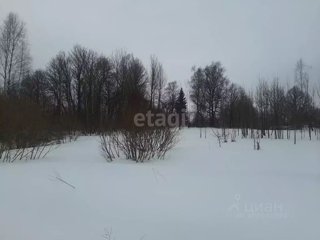 Участок в Псковская область, Островский район, Воронцовская волость, ... - Фото 2