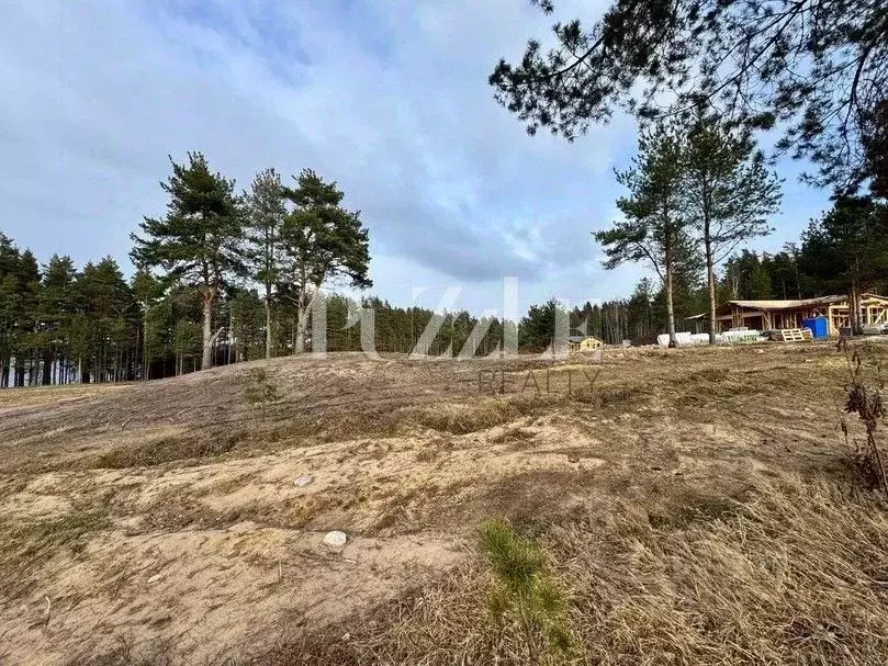 Участок в Ленинградская область, Приозерский район, Громовское с/пос, ... - Фото 2