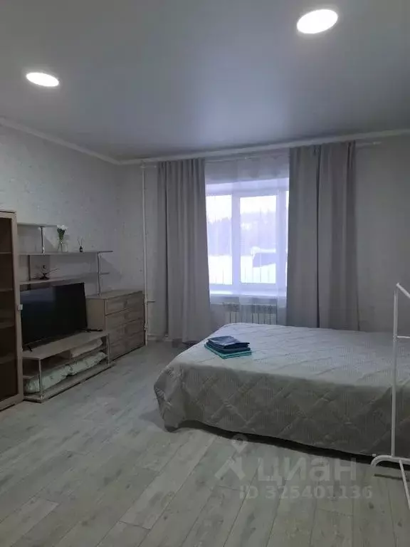 Студия Алтай, Горно-Алтайск Заринская ул., 39 (27.0 м) - Фото 2