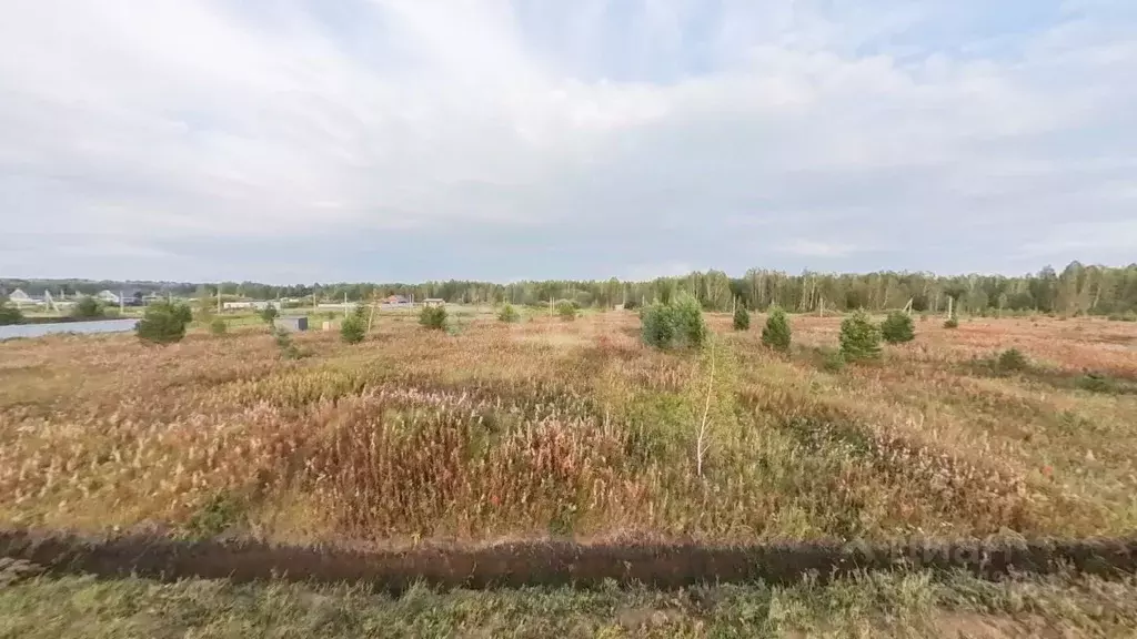 Участок в Тюменская область, Тюменский район, Новокаменский кп  (10.0 ... - Фото 1