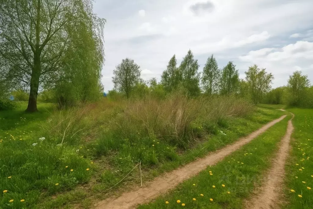 Участок в Тюменская область, Нижнетавдинский район, Строитель ТСН 786 ... - Фото 1