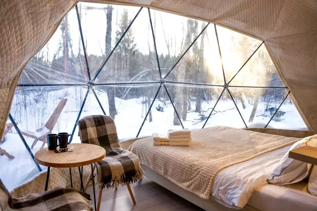 Дом в Ленинградская область, Гатчинский муниципальный округ, Дачная ... - Фото 1