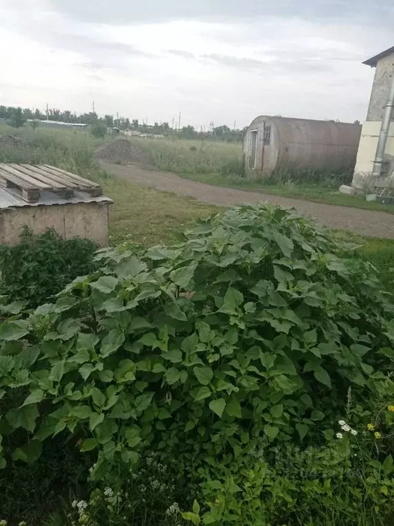 Участок в Саратовская область, с. Михайловка  (10.0 сот.) - Фото 1