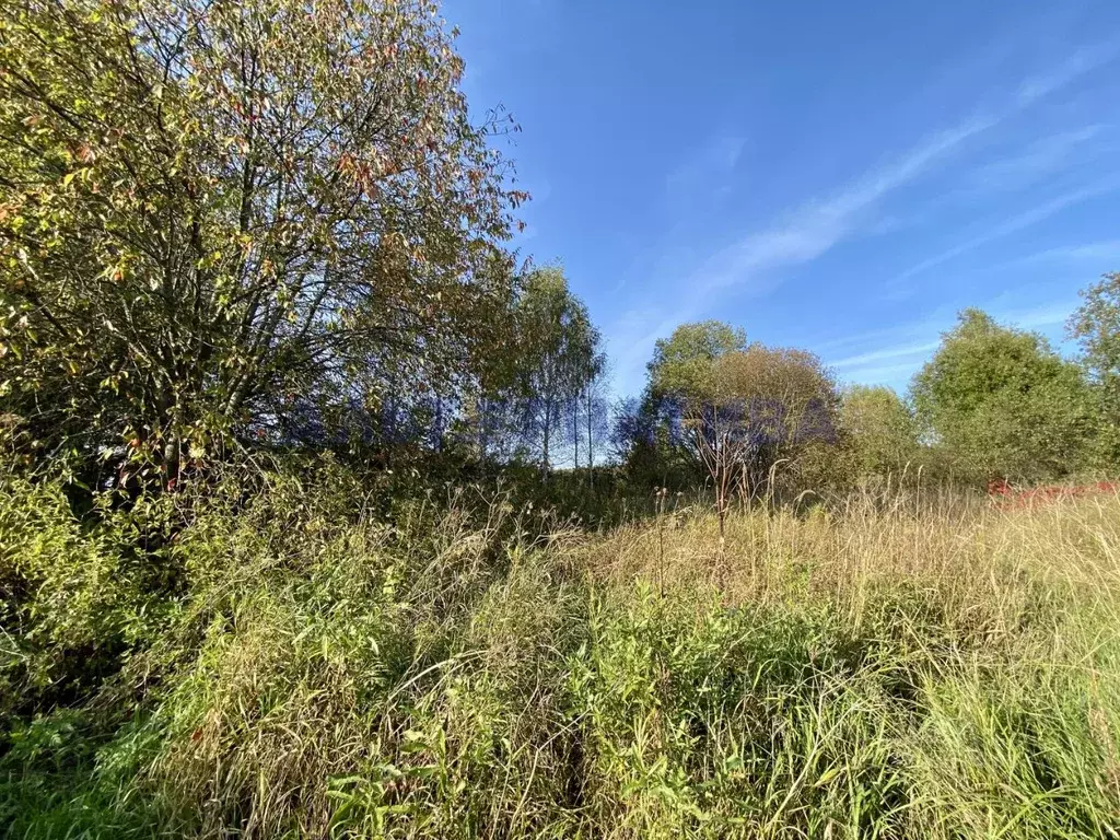 Участок в Ярославская область, Переславль-Залесский муниципальный ... - Фото 1