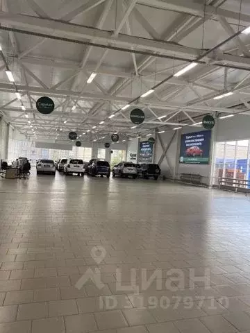 Торговая площадь в Новосибирская область, Новосибирск Большевистская ... - Фото 0