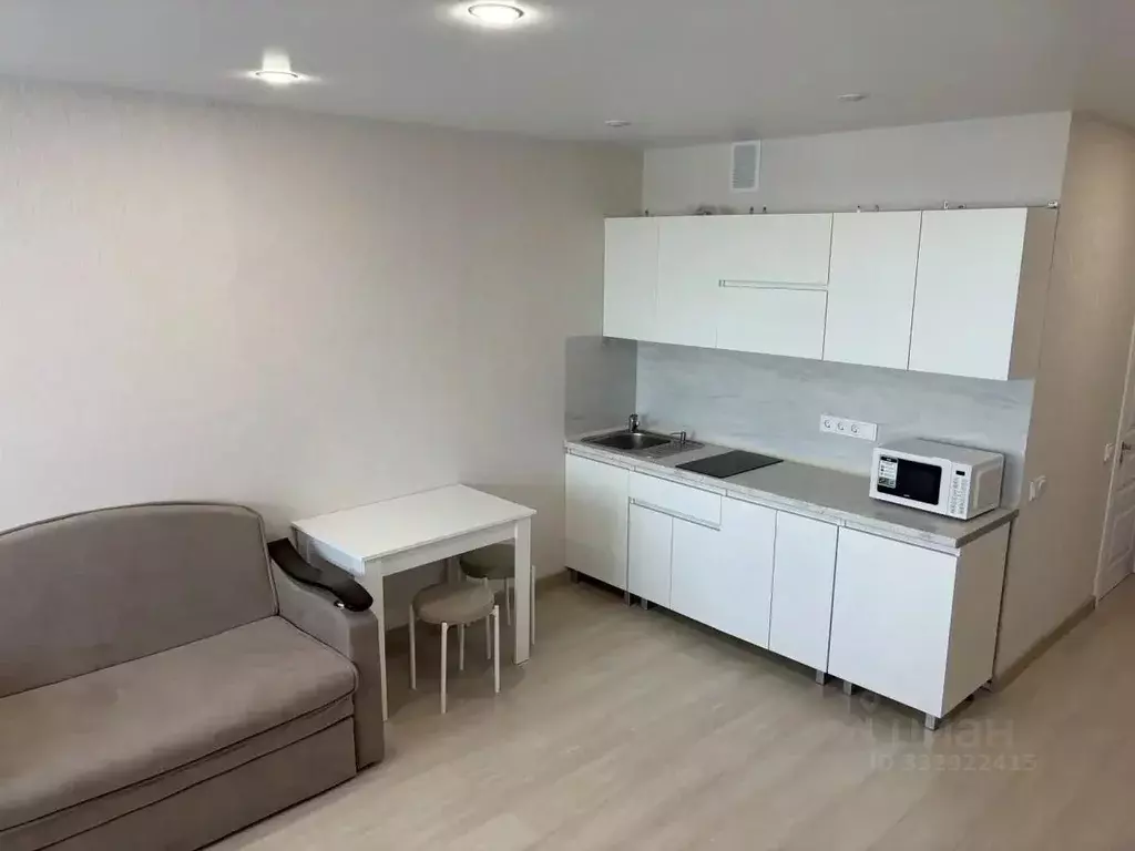 Студия Башкортостан, Уфа Кремлевская ул., 50/3 (32.0 м) - Фото 1